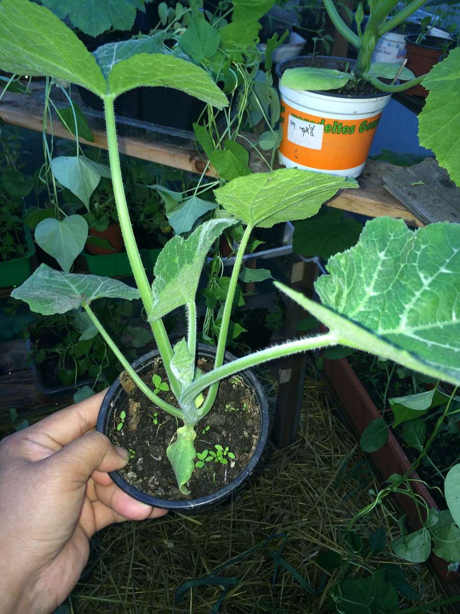 2014-04-27 19-42-03.JPG